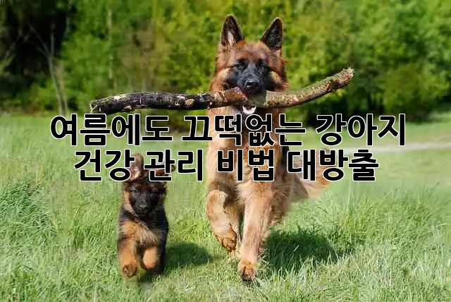 0c181f29f2ff7684d19c2a68a6dca85a.jpg