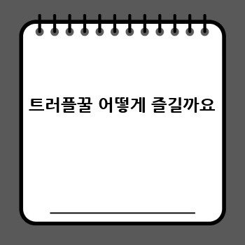 1dac9b6271254992a4b25a36cf42593b.jpg