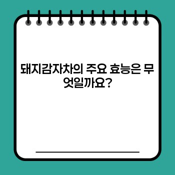b200ec5e720a8309a47ab5d116e9dacf.jpg