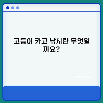 ceb2271f26fc719fe0ae66b319143205.jpg