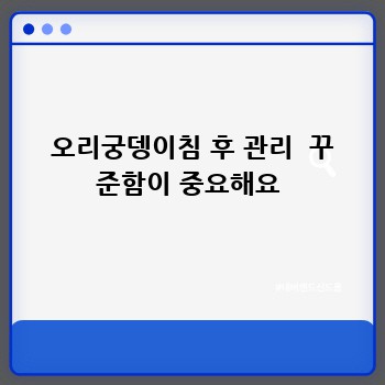 ea1e91bfb2638544ba5eb5840379fcbb.jpg