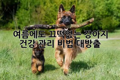 🐶 여름에도 끄떡없는 강아지 건강 관리 비법 대방출! ☀️