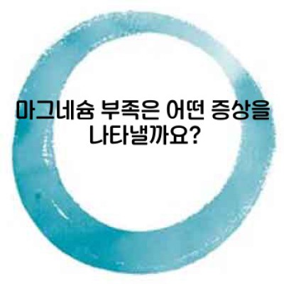 마그네슘 효능: 건강을 위한 필수 미네랄의 모든 것