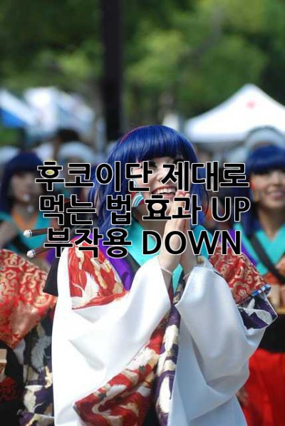 후코이단 제대로 먹는 법: 효과 UP! 부작용 DOWN!