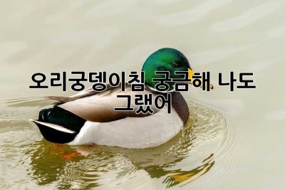 오리궁뎅이침, 궁금해? 나도 그랬어! 😊