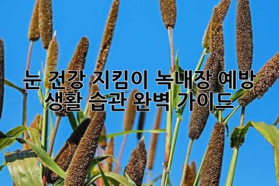 눈 건강 지킴이, 녹내장 예방 생활 습관 완벽 가이드