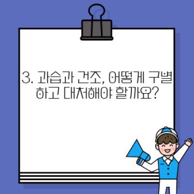 실내 식물 무럭무럭 키우는 비법: 완벽한 물주기 & 관리 가이드
