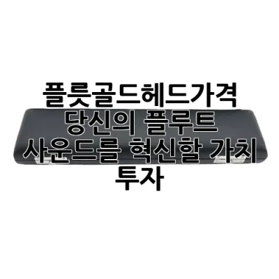 플릇골드헤드가격, 당신의 플루트 사운드를 혁신할 가치 투자!