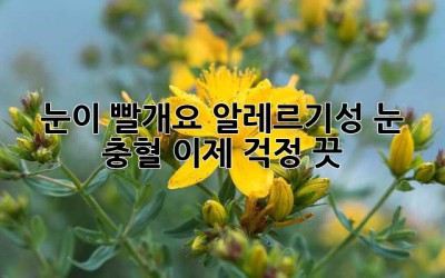 눈이 빨개요? 알레르기성 눈 충혈, 이제 걱정 끗! 👋