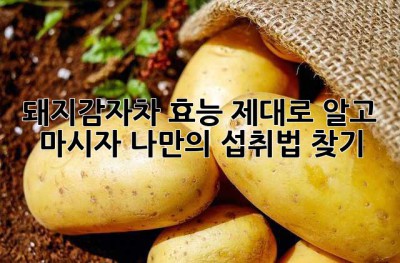 돼지감자차 효능 제대로 알고 마시자! 나만의 섭취법 찾기