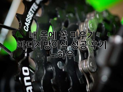내 몸에 꽃 피우기: 바디지방이식 성공 후기 & 노하우