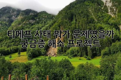 티메프 사태, 뭐가 문제였을까? 궁금증 해소 프로젝트!