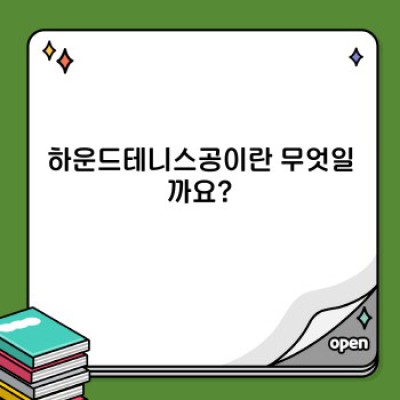 하운드테니스공 완벽 가이드: 종류, 선택법, 관리법까지!
