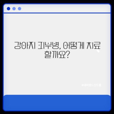 강아지 피부병, 원인부터 치료까지 완벽 가이드: 궁금증 해결!
