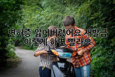 면허증 잃어버렸어요? 재발급, 이렇게 하면 빨라요!