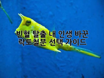 빈혈 탈출?! 내 인생 바꾼 락토철분 선택 가이드