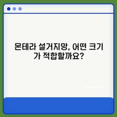 몬테라 설거지망: 꼼꼼 비교분석 & 최고의 선택 가이드