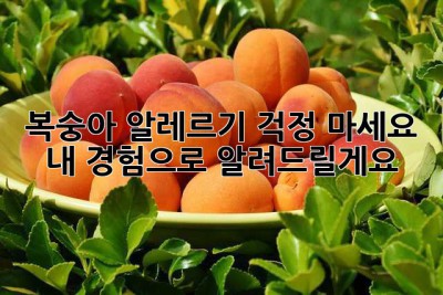 🍑 복숭아 알레르기? 걱정 마세요! 내 경험으로 알려드릴게요