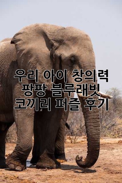 우리 아이 창의력 팡팡! 블루래빗 코끼리 퍼즐 후기