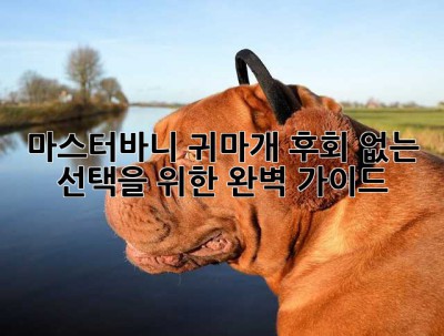 마스터바니 귀마개, 후회 없는 선택을 위한 완벽 가이드!