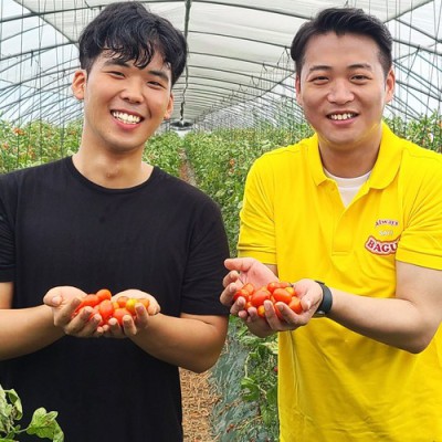 당적은 토마토주스: 솔직 후기와 꿀팁 대방출! 🤩