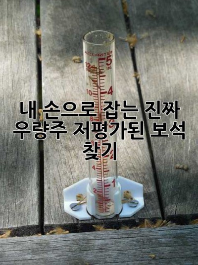 내 손으로 잡는 진짜 우량주, 저평가된 보석 찾기 ✨