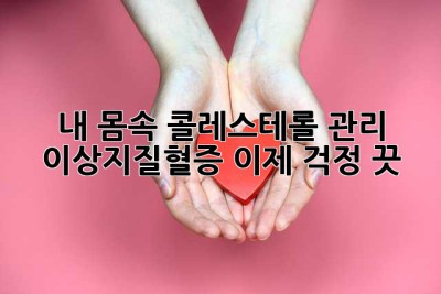 내 몸속 콜레스테롤 관리, 이상지질혈증 이제 걱정 끗!