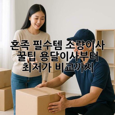 📦 혼족 필수템! 소량이사 꿀팁🍯 용달이사부터 최저가 비교까지!
