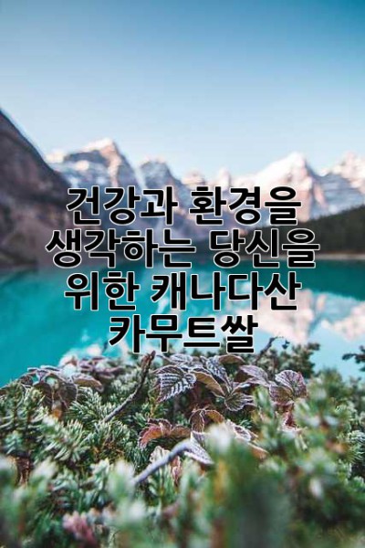 건강과 환경을 생각하는 당신을 위한 캐나다산 카무트쌀