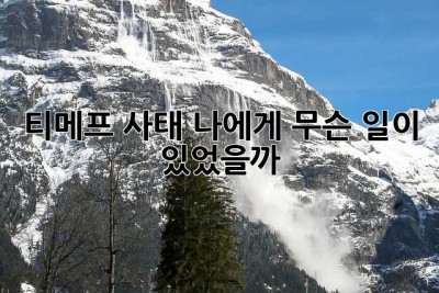 티메프 사태, 나에게 무슨 일이 있었을까?
