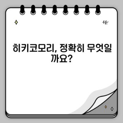 히키코모리 현황 완벽 정리: 원인, 특징, 극복 방안까지!