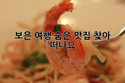 보은 여행, 숨은 맛집 찾아 떠나요! ✨