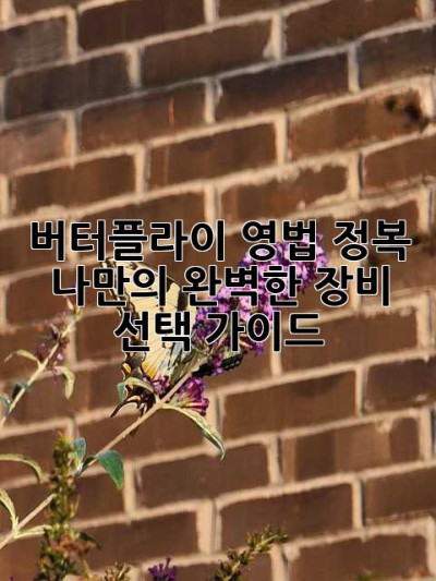 버터플라이 영법 정복! 나만의 완벽한 장비 선택 가이드