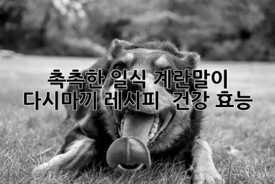 촉촉한 일식 계란말이🍳 다시마끼 레시피 & 건강 효능
