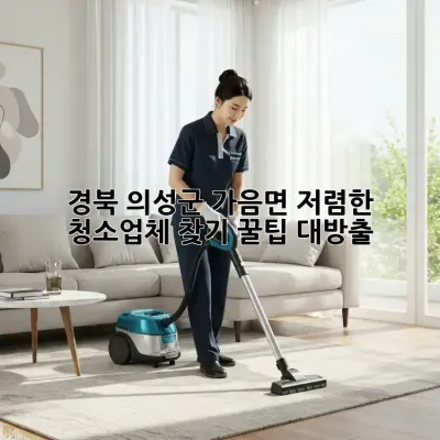 경북 의성군 가음면 저렴한 청소업체 찾기: 꿀팁 대방출!