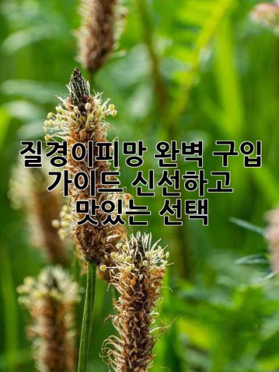 질경이피망 완벽 구입 가이드: 신선하고 맛있는 선택!