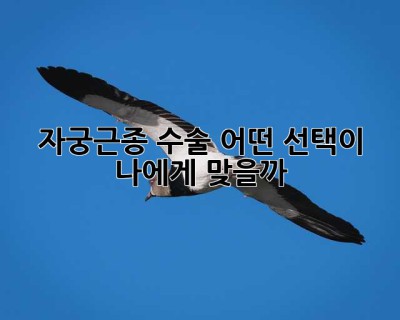 자궁근종 수술, 어떤 선택이 나에게 맞을까?