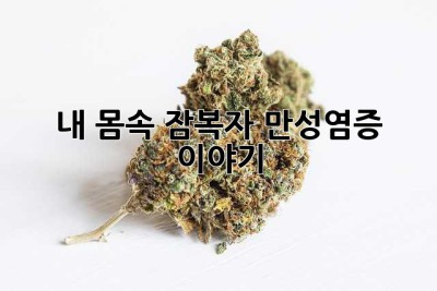 내 몸속 잠복자, 만성염증 이야기
