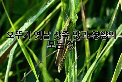 오뚜기 옛날 잣죽: 맛과 영양의 모든 것