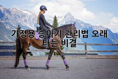 가정용 승마기 관리법: 오래 타는 비결
