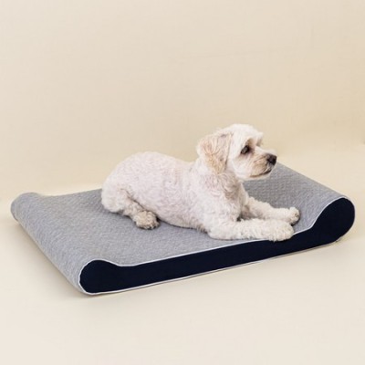 꿀잠 보장! 강아지 방석 메모리폼 시리즈 후기🐶 특가 놓치지 마세요!