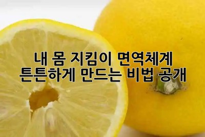 내 몸 지킴이🛡️ 면역체계, 튼튼하게 만드는 비법 공개!