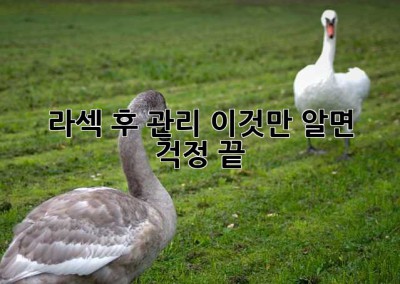 라섹 후 관리, 이것만 알면 걱정 끝! ✨