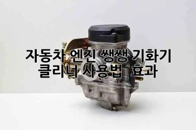 자동차 엔진 쌩쌩! 기화기 클리너 사용법 & 효과 💯