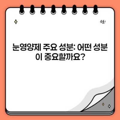 눈 건강 지킴이, 눈영양제 완벽 가이드: 종류, 효능, 선택 방법까지!