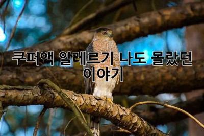 쿠퍼액 알레르기? 나도 몰랐던 이야기