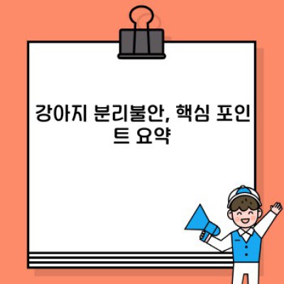 강아지 분리불안 완벽 가이드: 증상, 원인, 해결 방법 총정리