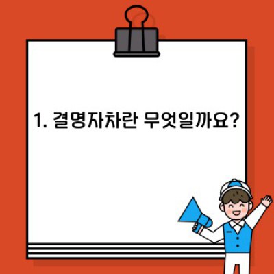 결명자차 효능: 눈 건강부터 혈관 건강까지, 결명자차의 모든 것