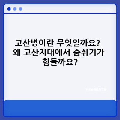 고산병 완벽 가이드: 증상, 예방, 치료, 그리고 당신이 궁금한 모든 것!