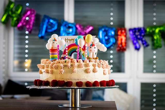 반려묘생일파티용품005.jpg